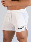 Calções de malha de verão de secagem rápida esportes masculinos shorts casuais calças de praia respiráveis adequadas para fitness ao ar livre correndo
