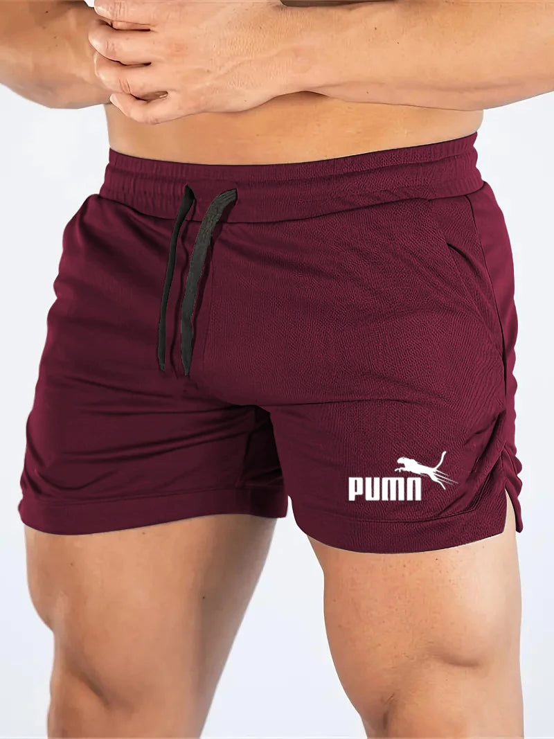 Calções de malha de verão de secagem rápida esportes masculinos shorts casuais calças de praia respiráveis adequadas para fitness ao ar livre correndo
